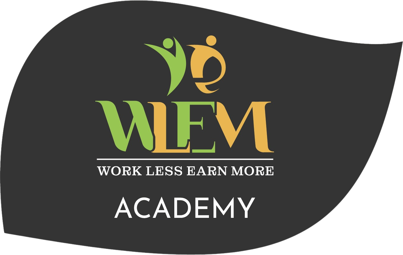 Work Less Earn More Academy